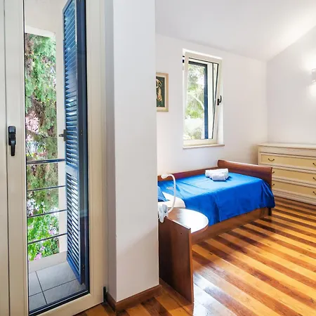 Violet & Rosemary 수페타르